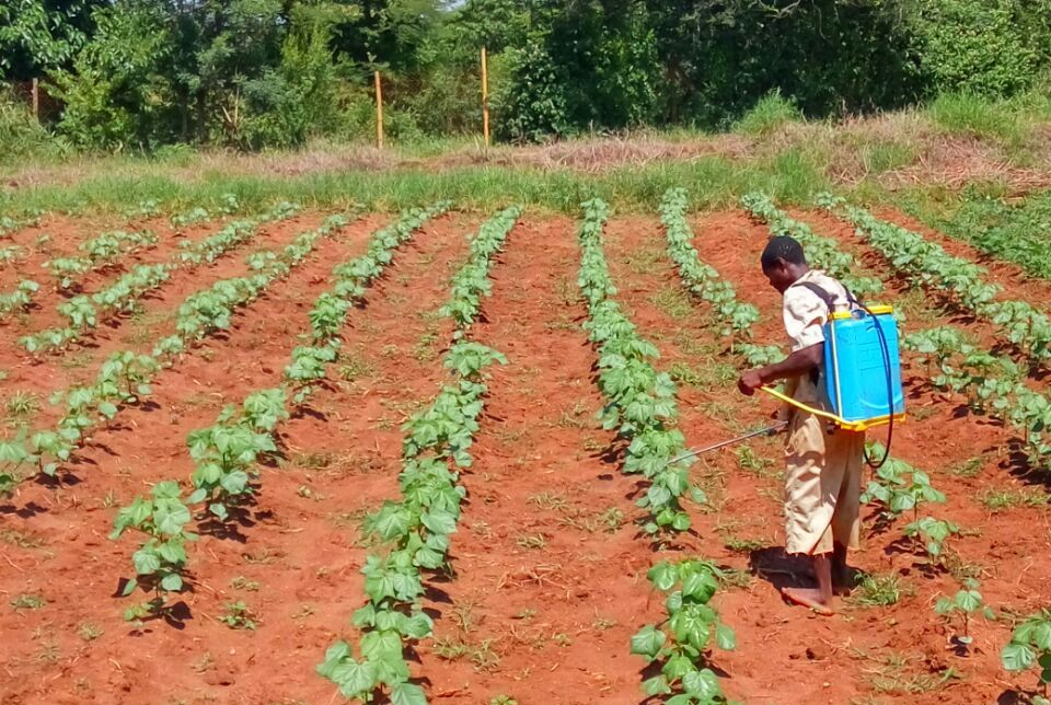 图片3(1).png 凯旋娱乐网