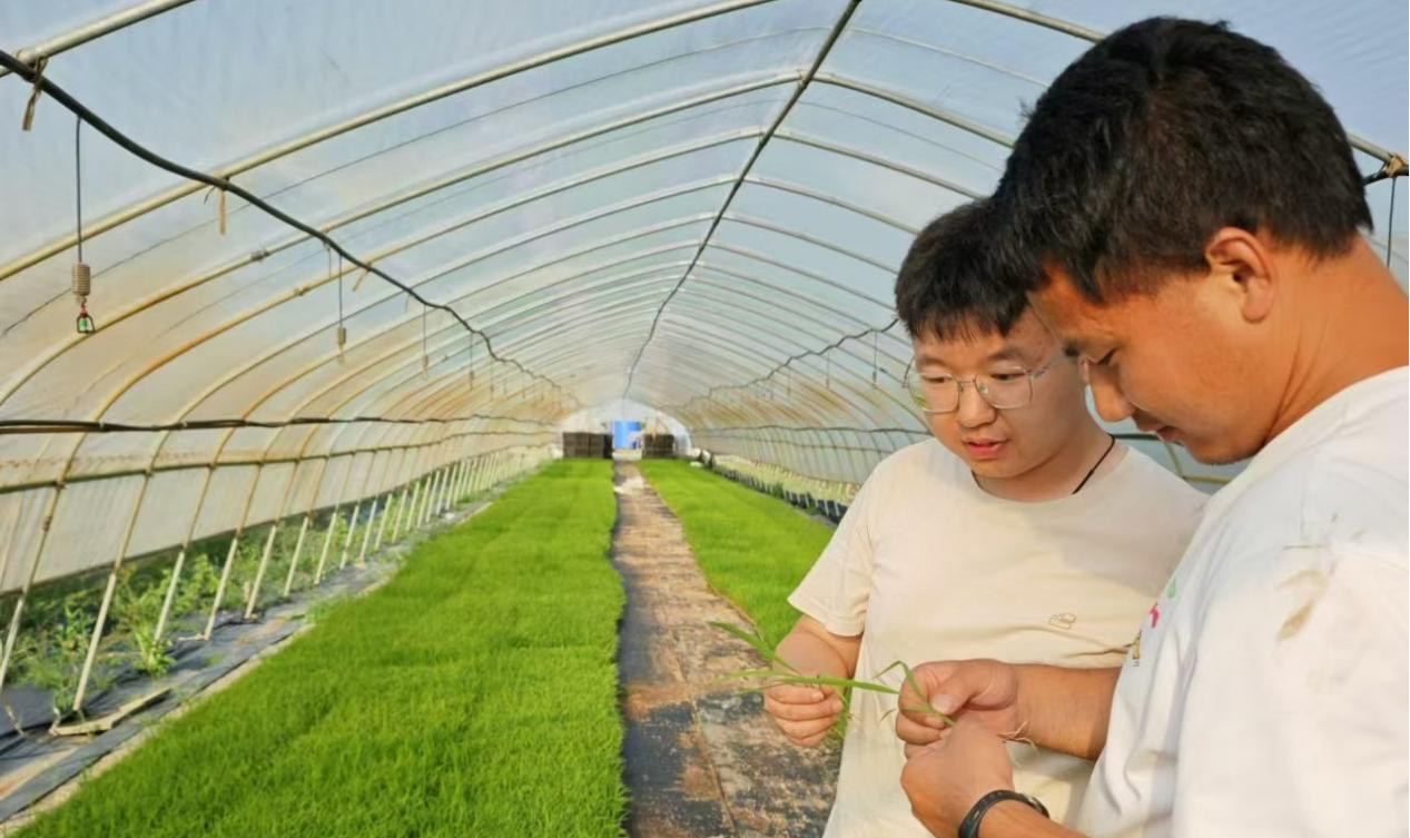 滚动3.png 凯旋娱乐网