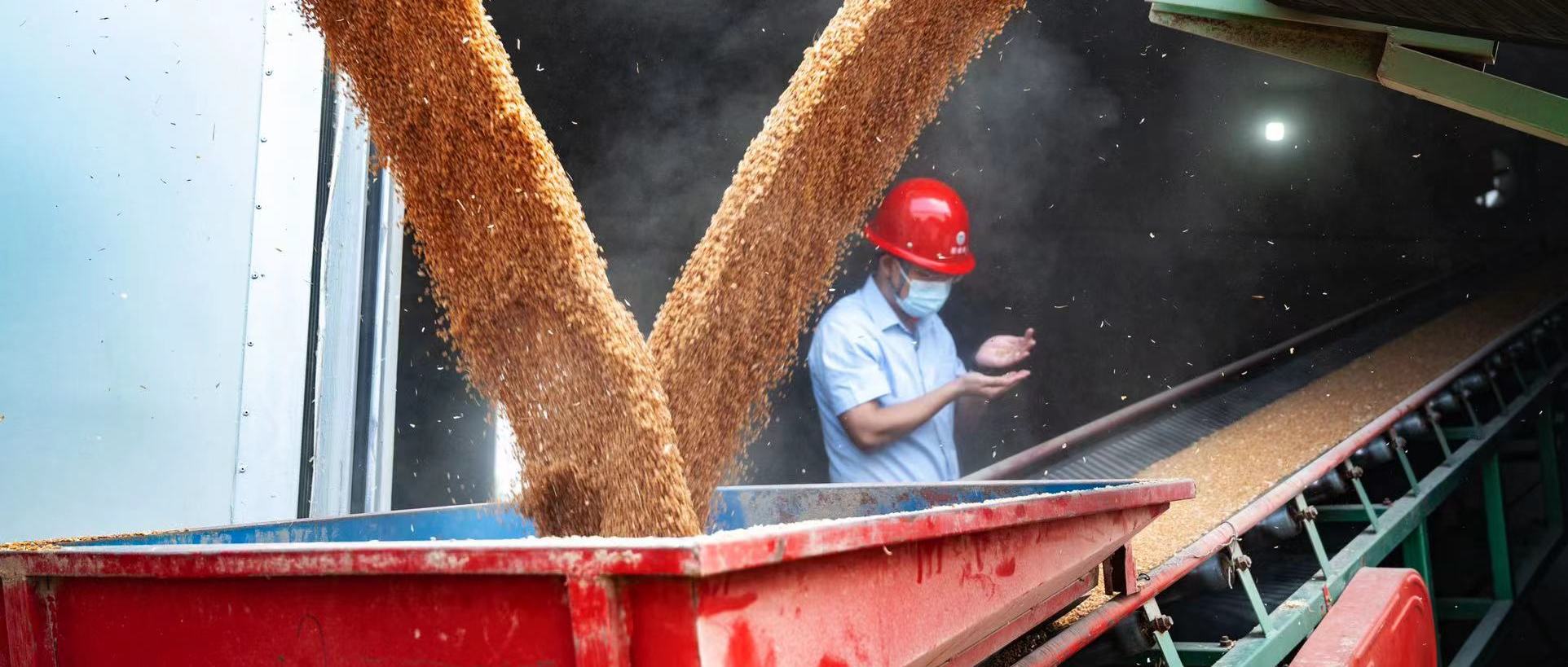 微信图片_20240612161700.jpg 凯旋娱乐网