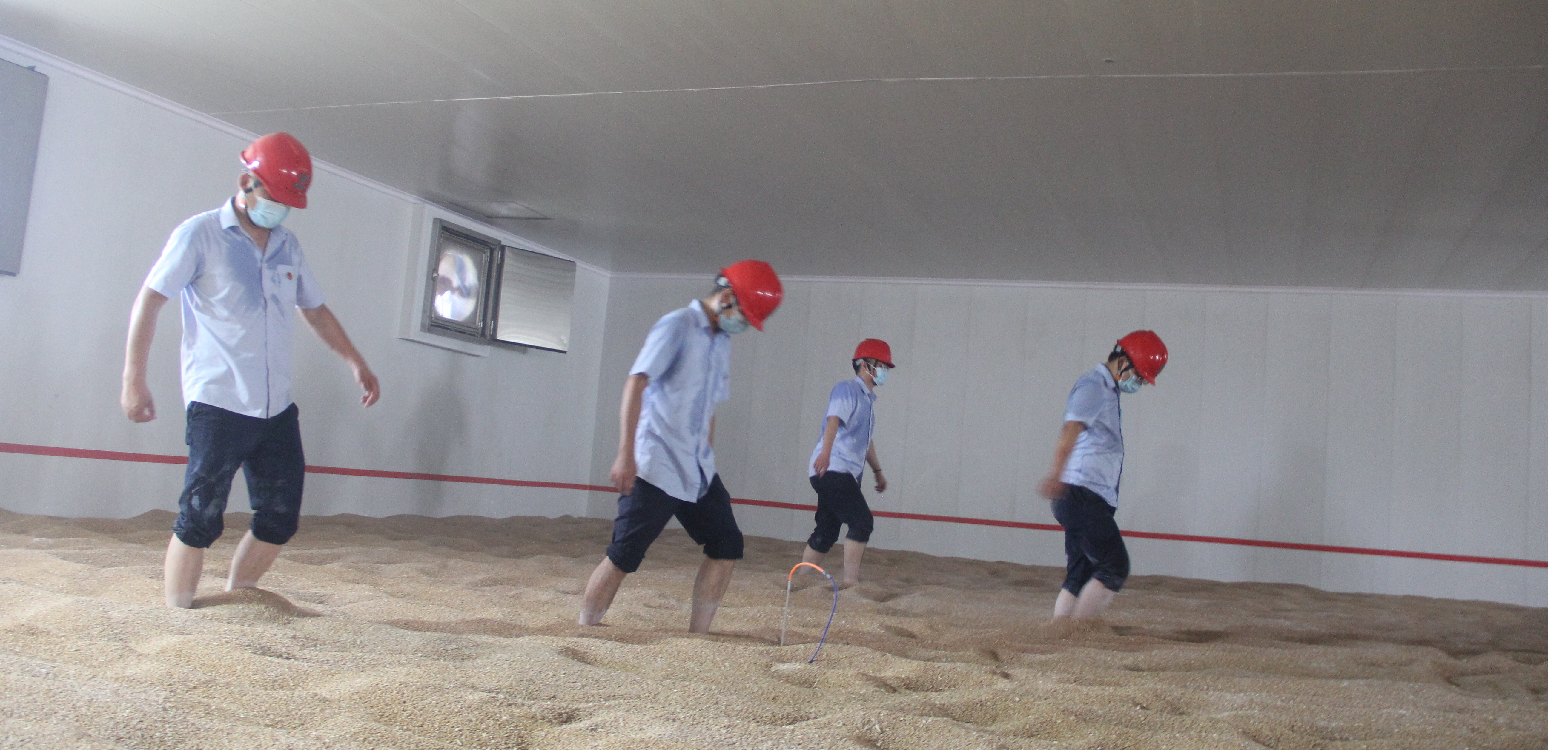 滚动4 踢粮面,给粮食散热.JPG 凯旋娱乐网