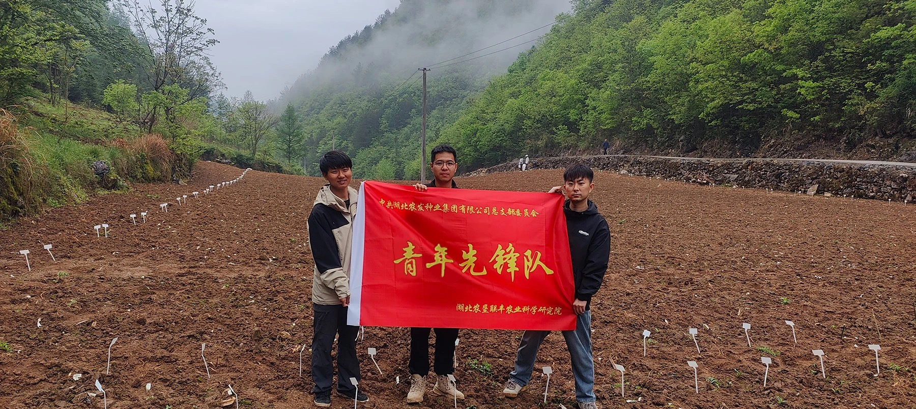 滚动-封面.jpg 凯旋娱乐网