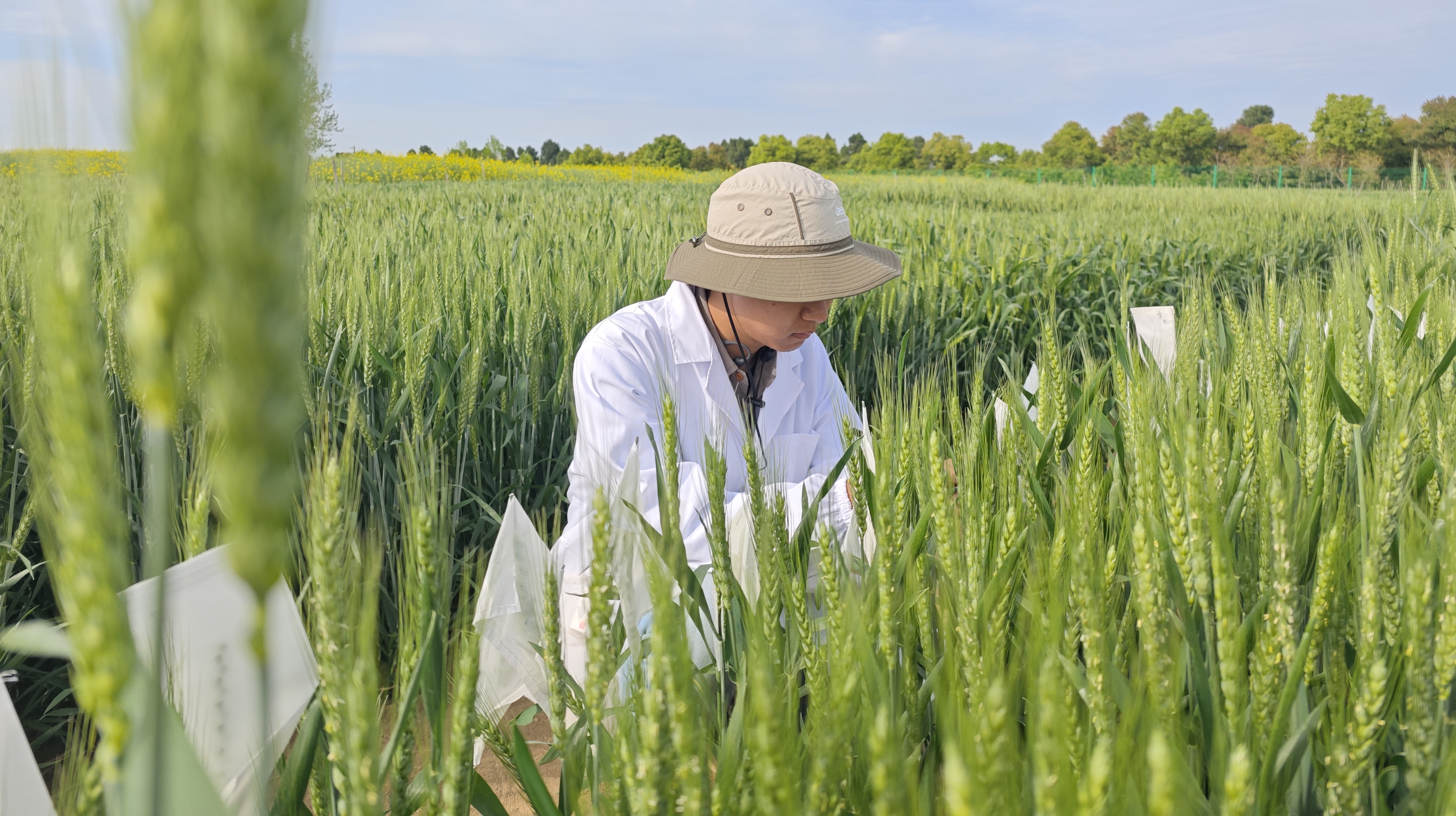 滚动-2.jpg 凯旋娱乐网