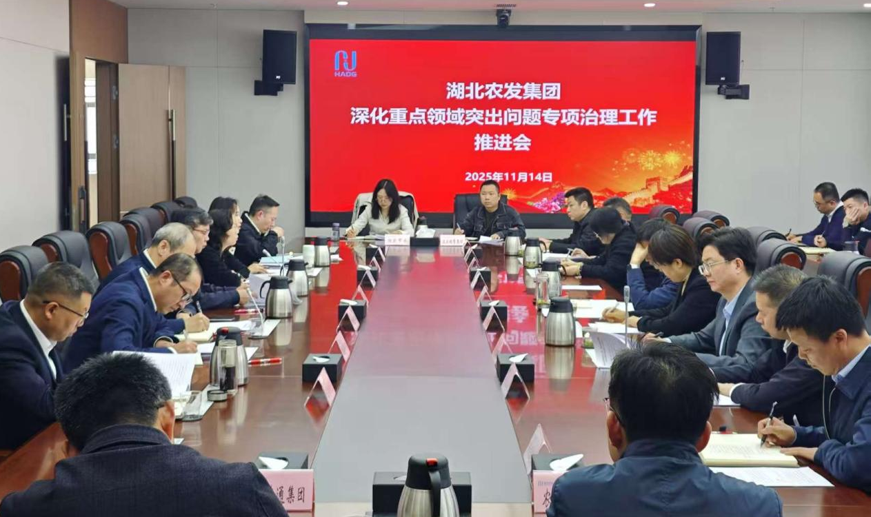 专项治理会.png 凯旋娱乐网