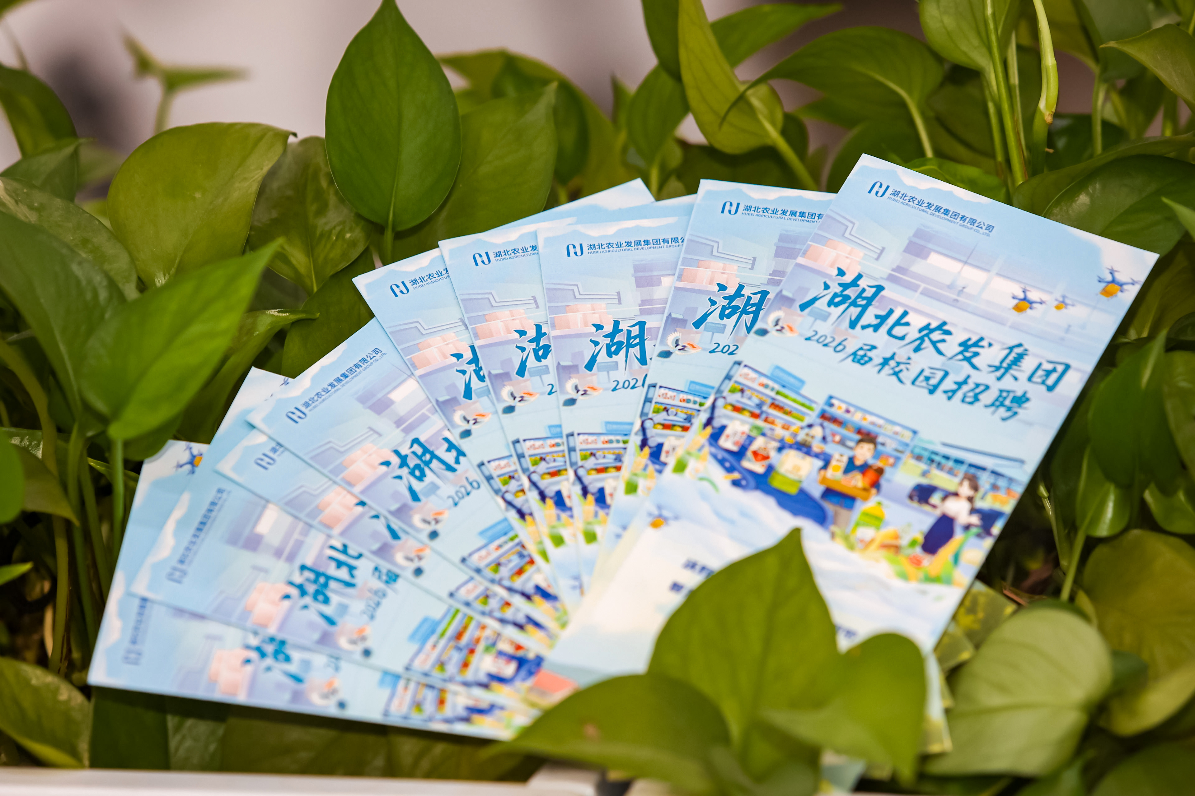 753A1695_Jfoto_20250917_-1852806670.JPG 凯旋娱乐网